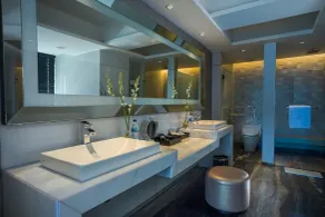 ARTOTEL Hayam Wuruk Surabaya - Bathroom