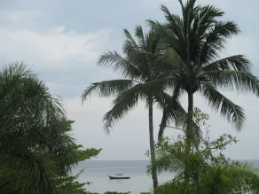 MJ Boutique Hotel Khao Lak - View from room