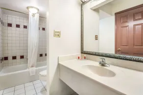 Econo Lodge Inn & Suites Macon West - Badezimmer