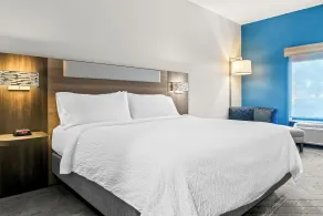 Holiday Inn Express & Suites Detroit - Novi by IHG - Chambre