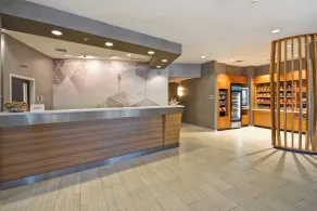SpringHill Suites by Marriott Indianapolis Airport/Plainfield - Reception