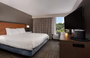 Hampton Inn Bristol - Chambre