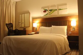 Hilton Garden Inn Kutahya - Room