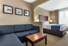 Comfort Suites Waco Near University Area - Vue de la chambre