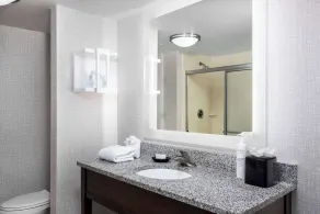Hampton Inn & Suites Birmingham/280 East-Eagle Point - Salle de bain