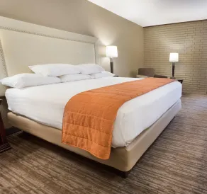 Drury Inn & Suites Greensboro - Chambre