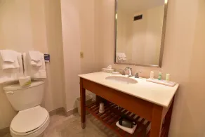Quality Inn and Conference Centre - Salle de bain