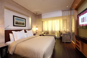 The Ashok, New Delhi - Room