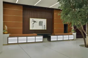 Waldorf Astoria Doha Lusail - Reception
