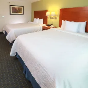 Hampton Inn by Hilton Reynosa/Zona Industrial - Chambre