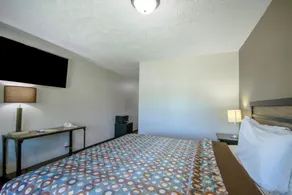 Hotel Arthur - Chambre