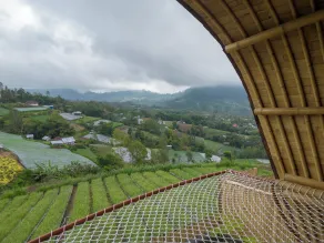The Dewi Eco Bamboo Villa - Udsigt fra værelset