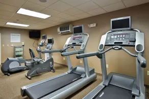 Holiday Inn Express Hotel & Suites Kodak East-Sevierville by IHG - Salle de remise en forme