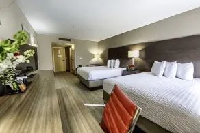 Hotel Capstone - Chambre