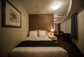 ANA Crowne Plaza Matsuyama by IHG - Chambre