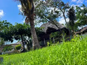 Tropinest bungalows & hostel - View from room