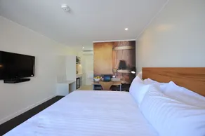 The Griff Motel - Room