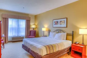 Country Inn & Suites by Radisson, Crystal Lake, IL - Chambre