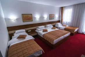 Motel Mujanic Sarajevo - Værelse