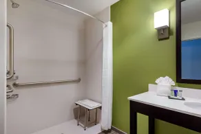 Sleep Inn & Suites Tampa South - Baño