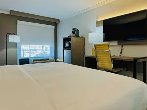 Comfort Inn & Suites Houston I-10 West Energy Corridor - Room
