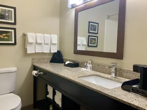 Comfort Suites Peoria I-74 - Salle de bain