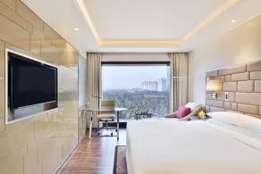 Courtyard by Marriott Bengaluru Hebbal - View from room