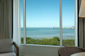 Grand Hyatt Tampa Bay - View from room