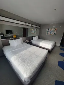 Microtel Inn & Suites by Wyndham Bluffs - Chambre