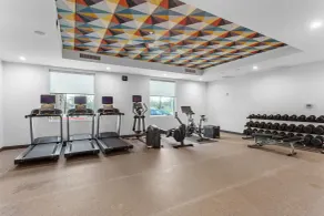 Home2 Suites By Hilton Lake Jackson - Salle de remise en forme