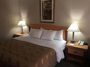 Quality Inn Nashville - Bloomington - Chambre