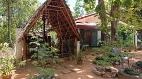 Elephant Safari Lodge - Ausblick vom Zimmer
