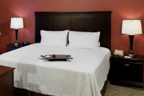 Hampton Inn & Suites Texarkana - Chambre