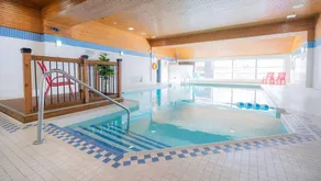 DoubleTree by Hilton Ottawa Downtown - Pool