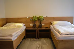 Wels Inn Hotel - Rum