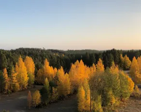 Hotel Aateli Hillside - View from room