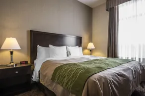 Comfort Inn Surrey Hotel - Chambre