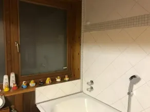 Steinacher Hof - Bagno