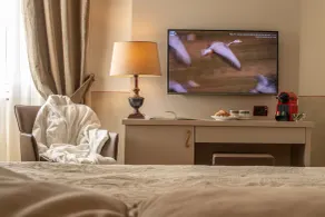 Hotel Ambasciatori - Room