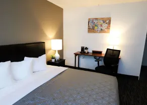 Econo Lodge Auburn I-95 - Room