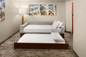SpringHill Suites by Marriott Virginia Beach Oceanfront - Chambre