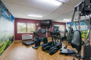 Clarion Pointe Jamestown - Falconer - Salle de remise en forme