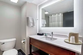 Best Western Canton Inn - Badrum