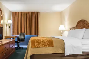 Comfort Inn Binghamton I-81 - Chambre