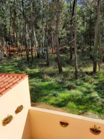 Smiling Places - Guest House in Labruge - Vista dalla camera
