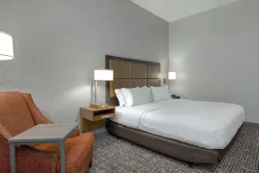 Hampton Inn Tallahassee-Central - Chambre