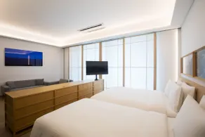 Sotetsu Hotels The Splaisir Seoul Myeongdong - Vue de la chambre