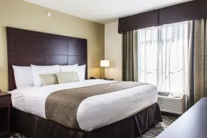 Cobblestone Hotel & Suites - Stevens Point - Chambre