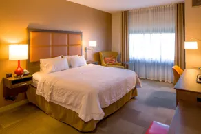 Hampton Inn Houston Downtown Convention Center - Chambre