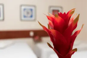 Turis Hotel Centro - Room